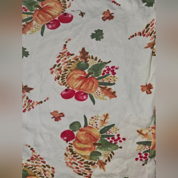 Burt's Bees Kids Boy Girl Thanksgiving Celebration Organic 2pc PJ Set Sz 3T - Picture 16 of 16